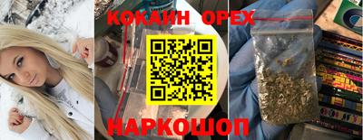 гашик Ливны