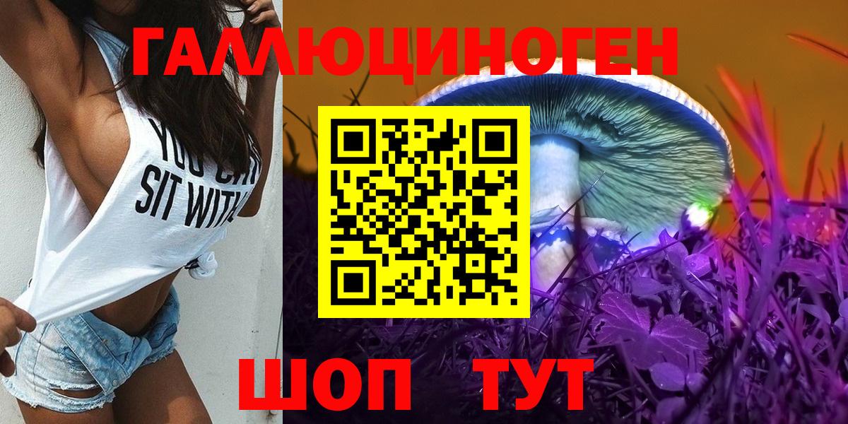 Качканар  Псилоцибиновые грибы Magic Shrooms  Вход с VPN 