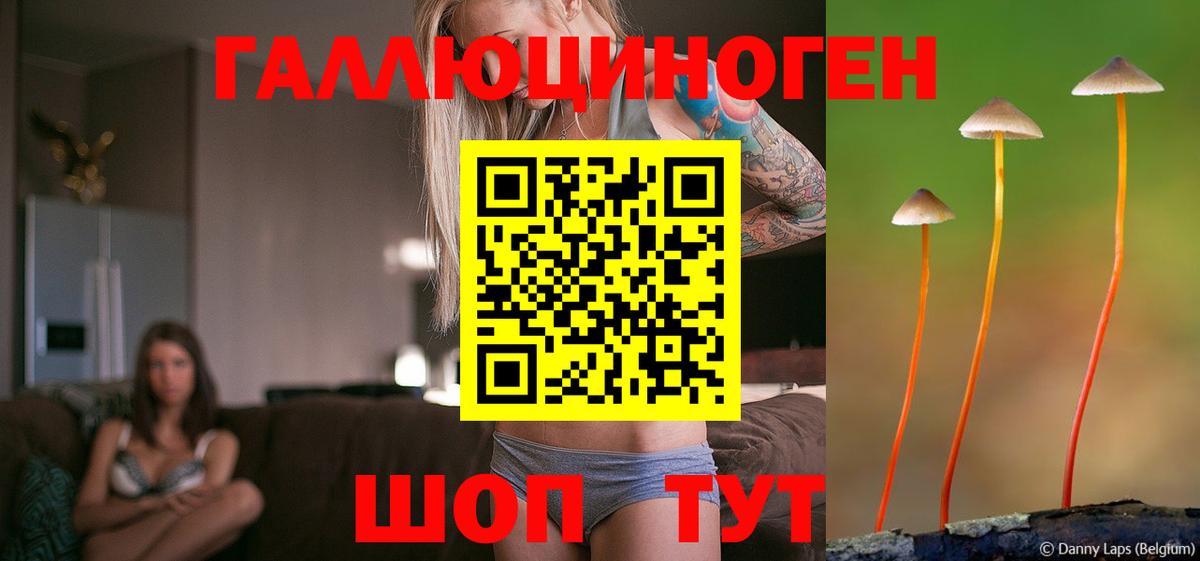 Галлюциногенные грибы Magic Shrooms Качканар
