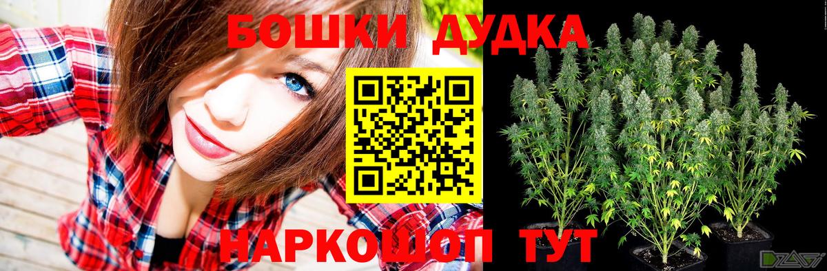Конопля Bruce Banner Качканар
